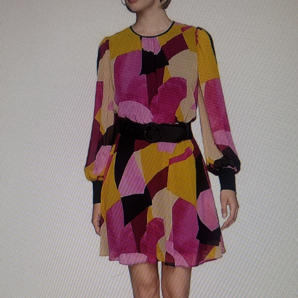 NWT Women’s Karl Lagerfield Paris Printed Chiffon Blouson Sleeve Mini.  Size 10